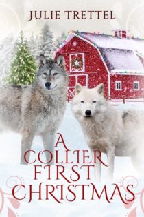 A Collier First Christmas by Julie Trettel EPUB & PDF