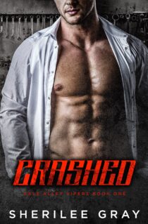 Crashed by Sherilee Gray EPUB & PDF