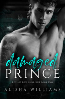 Damaged Prince by Alisha Williams EPUB & PDF