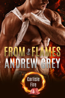 From the Flames by Andrew Grey EPUB & PDF