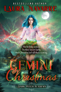 Gemini Christmas by Laura Navarre EPUB & PDF