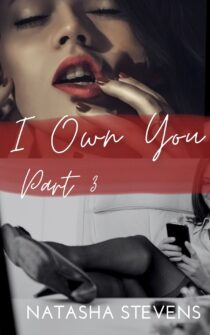 I Own You: Part#3 by Natasha Stevens EPUB & PDF