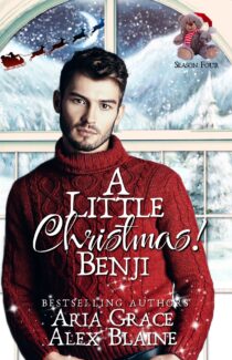 A Little Christmas! Benji by Aria Grace EPUB & PDF