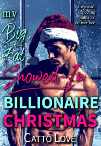 My Big, Fat, Snowed-In Billionaire Christmas by Catto Love EPUB & PDF