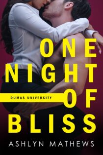 One Night of Bliss by Ashlyn Mathews EPUB & PDF