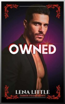 OWNED by Lena Little EPUB & PDF