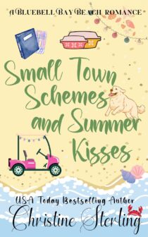 Small Town Schemes & Summer Kisses by Christine Sterling EPUB & PDF