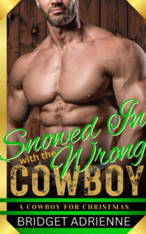 Snowed In with the Wrong Cowboy by Bridget Adrienne EPUB & PDF