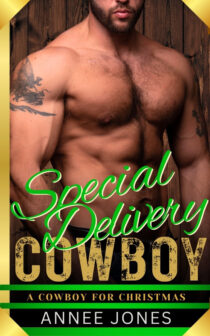 Special Delivery Cowboy by Annee Jones EPUB & PDF