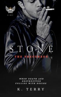 Stone by K. Terry EPUB & PDF