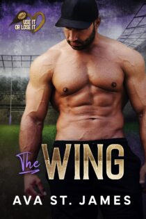 The Wing by Ava St. James EPUB & PDF