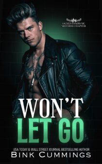 Won't Let Go by Bink Cummings EPUB & PDF