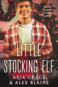 Little Stocking Elf by Aria Grace