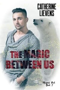 The Magic Between Us by Catherine Lievens