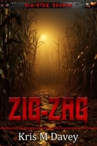 Zig-Zag by Kris M Davey