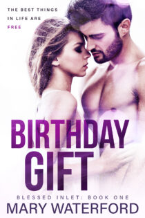 Birthday Gift by Mary Waterford EPUB & PDF