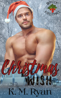 Christmas Wish by K. M. Ryan EPUB & PDF
