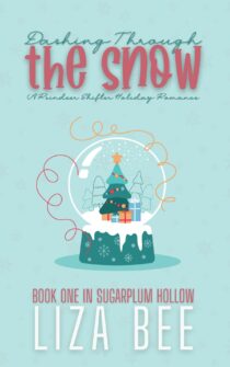 Dashing Through the Snow by Liza Bee EPUB & PDF