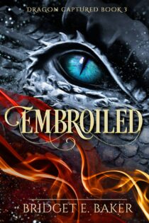 Embroiled by Bridget E Baker EPUB & PDF