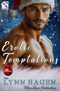 Erotic Temptations, #2 by Lynn Hagen EPUB & PDF
