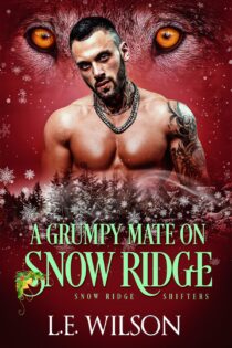 A Grumpy Mate on Snow Ridge by L.E. Wilson EPUB & PDF