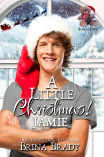 A Little Christmas 4: Jamie by Brina Brady EPUB & PDF
