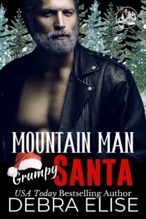 Mountain Man Grumpy Santa by Debra Elise EPUB & PDF
