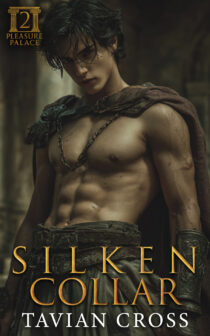 Silken Collar by Tavian Cross EPUB & PDF