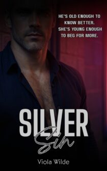 Silver Sin by Viola Wilde EPUB & PDF