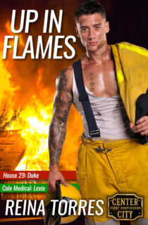 Up in Flames by Reina Torres EPUB & PDF
