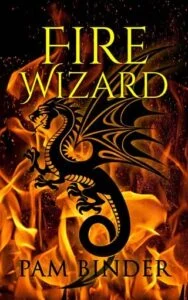 Fire Wizard by Pam Binder