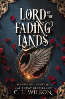 Lord of the Fading Lands by C. L. Wilson EPUB & PDF
