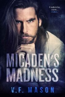 Micaden's Madness by V.F. Mason EPUB & PDF