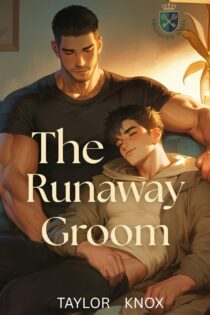The Runaway Groom by Taylor Knox EPUB & PDF