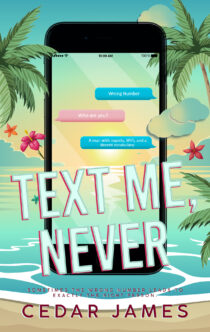 Text Me, Never by Cedar James EPUB & PDF