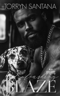 Unleashing Blaze by Torryn Santana EPUB & PDF