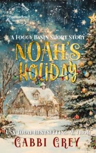Noah’s Holiday by Gabbi Grey