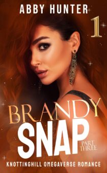 Brandy Snap, Part Three 1 by Abby Hunter EPUB & PDF
