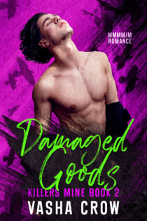 Damaged Goods by Vasha Crow EPUB & PDF