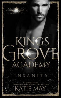 Insanity by Katie May EPUB & PDF
