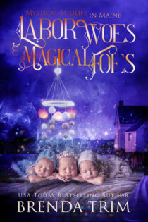 Labor Woes & Deadly Foes by Brenda Trim EPUB & PDF