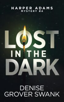 Lost in the Dark by Denise Grover Swank EPUB & PDF