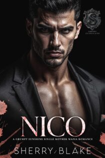 Nico by Sherry Blake EPUB & PDF