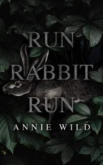Run Rabbit Run by Annie Wild EPUB & PDF