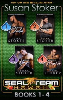 SEAL Team Hawaii Box Set 1: Books #1-4 by Susan Stoker EPUB & PDF