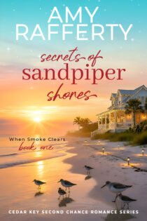 Secrets of Sandpiper Shores by Amy Rafferty EPUB & PDF