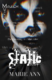 Static by Marie Ann EPUB & PDF