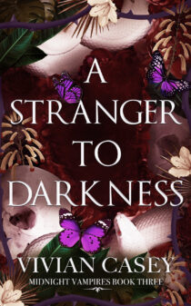 A Stranger to Darkness by Vivian Casey EPUB & PDF