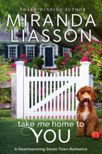 Take Me Home to You by Miranda Liasson EPUB & PDF