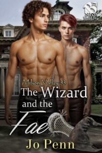 The Wizard and the Fae by Jo Penn EPUB & PDF